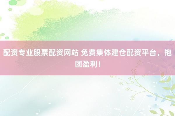 配资专业股票配资网站 免费集体建仓配资平台，抱团盈利！