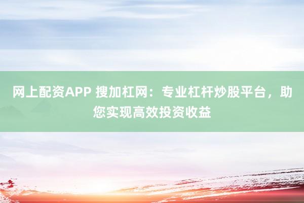 网上配资APP 搜加杠网：专业杠杆炒股平台，助您实现高效投资收益