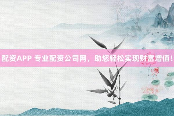 配资APP 专业配资公司网，助您轻松实现财富增值！
