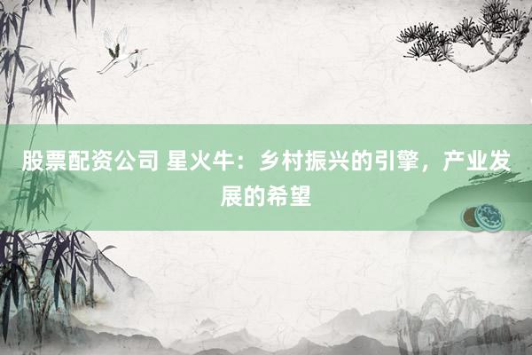 股票配资公司 星火牛：乡村振兴的引擎，产业发展的希望