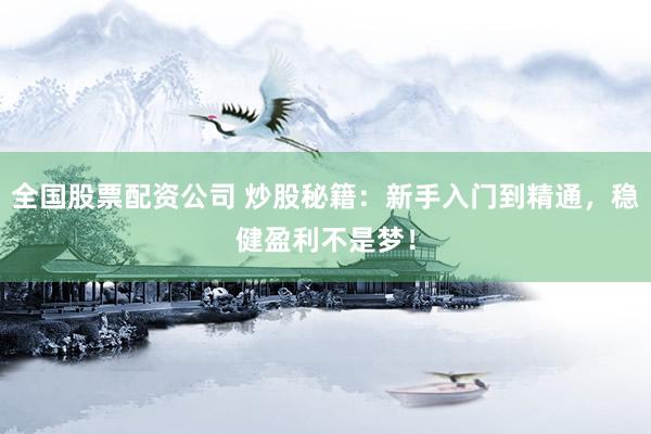 全国股票配资公司 炒股秘籍：新手入门到精通，稳健盈利不是梦！
