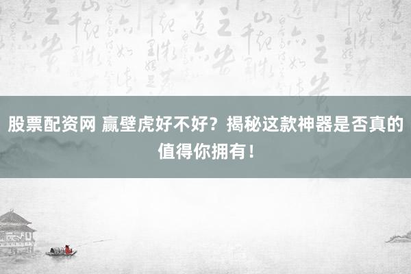 股票配资网 赢壁虎好不好？揭秘这款神器是否真的值得你拥有！