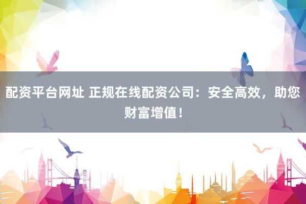 配资平台网址 正规在线配资公司：安全高效，助您财富增值！