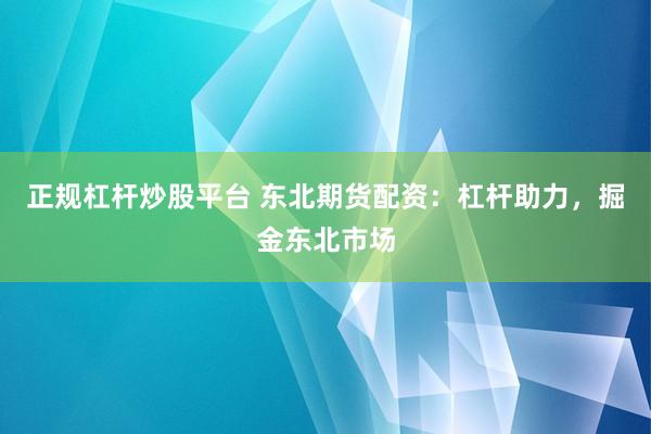 正规杠杆炒股平台 东北期货配资：杠杆助力，掘金东北市场