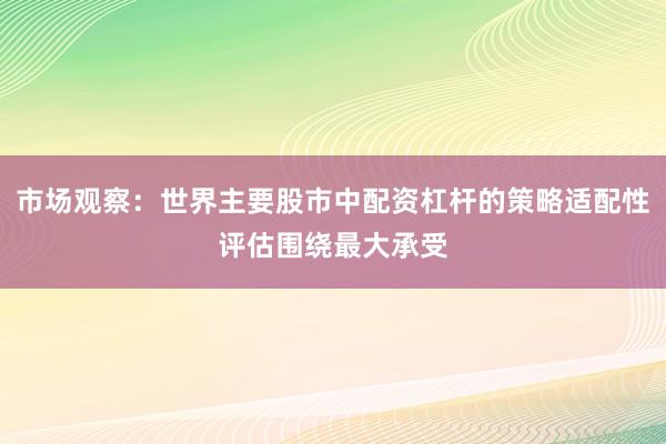 市场观察：世界主要股市中配资杠杆的策略适配性评估围绕最大承受