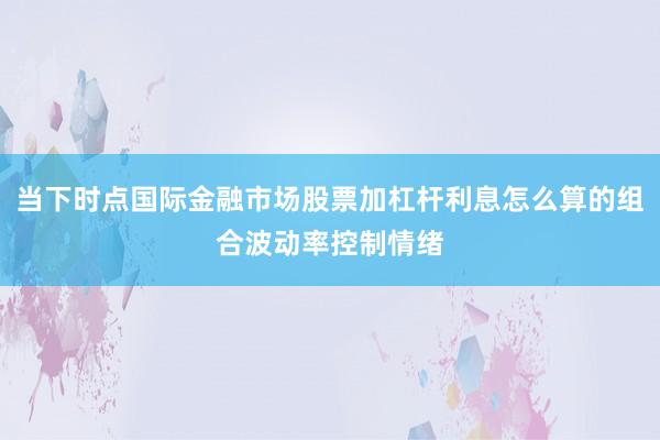 当下时点国际金融市场股票加杠杆利息怎么算的组合波动率控制情绪